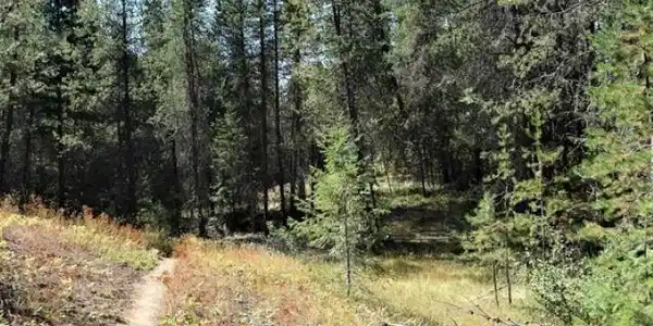 NNA Chief Joseph Ln