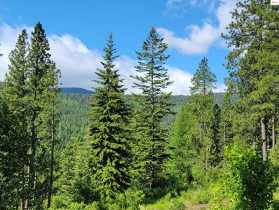 NNA Snowcat Lane Tract 2