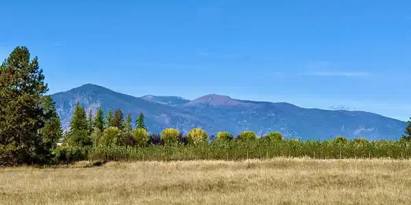Lot 2 Royal Way