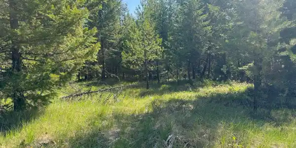 NNA Backroads Way Lot 2