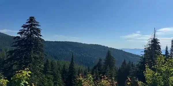 nna Avalanche
