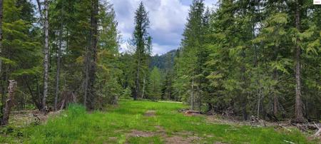 NNA Pup Paw Trail - North Parcel
