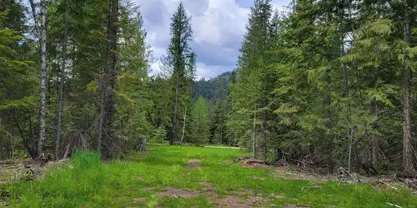 NNA Pup Paw Trail - North Parcel