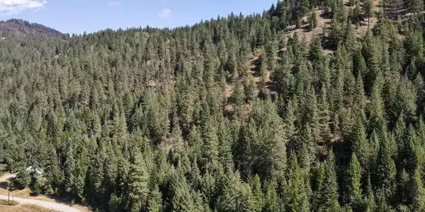 Lot 4 Bodie Canyon Road