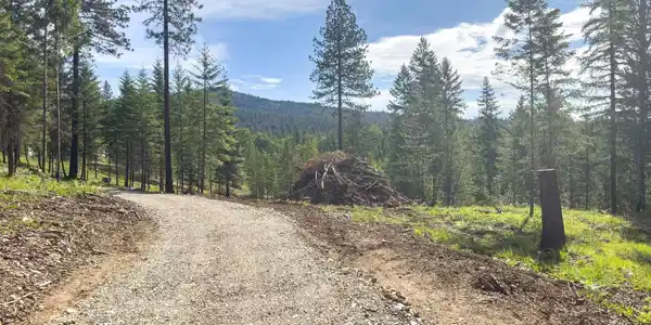 217 Gold Mountain Drive (12.01 Acres)