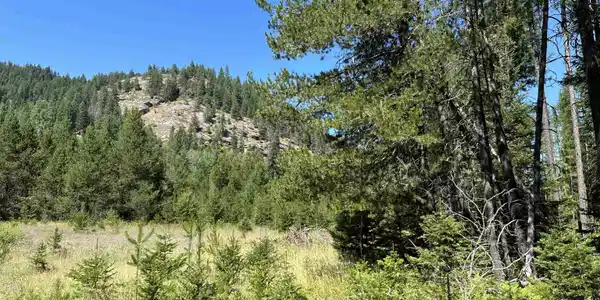 NKA Cedar Springs Rd