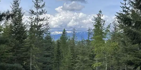Lot 5 Rising Hawk Ridge