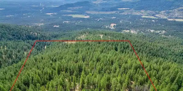 NNA USFS 2550 (40 acres)