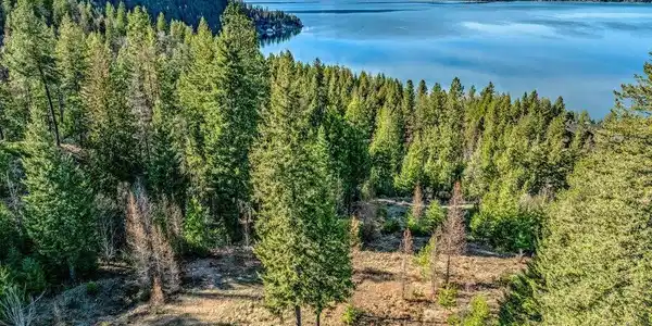NNA Big Pine Drive