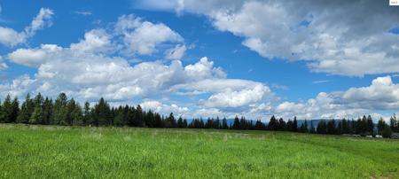 492 Stellar Jay Rd.