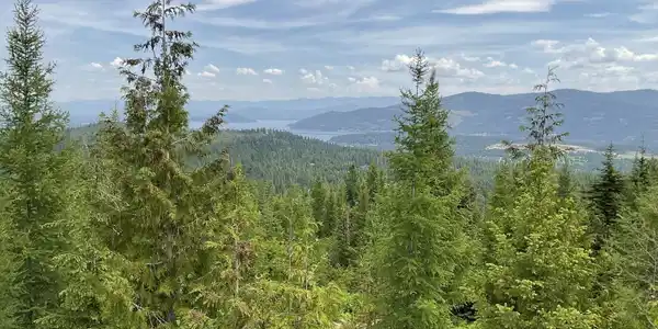 1728 Rugged Trail