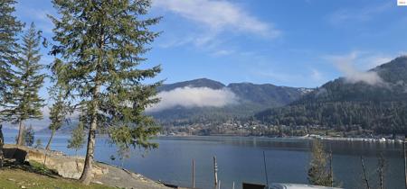 623 Red Fir