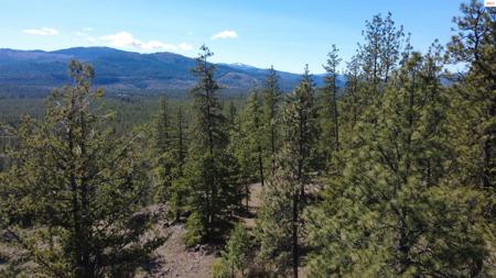 NNA Wolf Lodge Trail