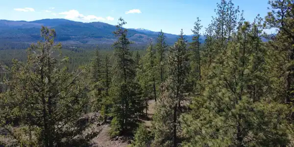 NNA Wolf Lodge Trail