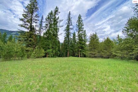 NNA 58 Acres Hwy 95 N