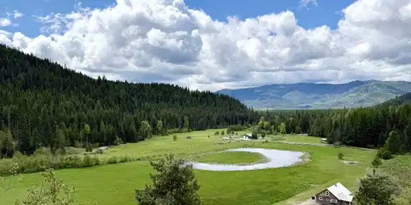 408 Quartz Creek Rd