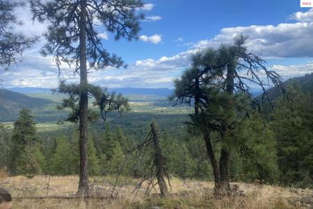 NNA Grizzly Gap Rd