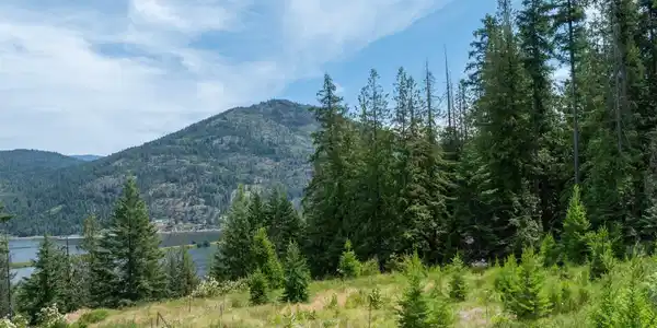 161 FINCH TRAIL