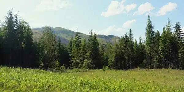 NKA Slippery Slope Trail