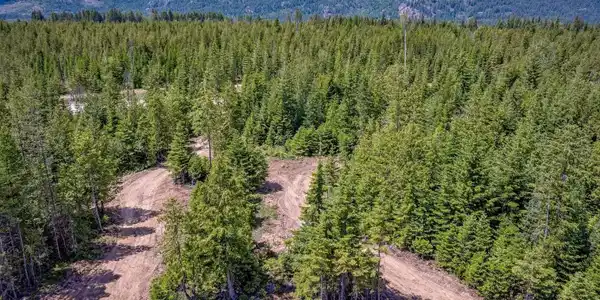 NNA Noble Lane Lot 12