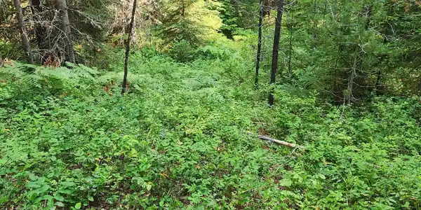 000 Reeder Bay Rd