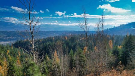 NNA Juniper Lane 20 acres