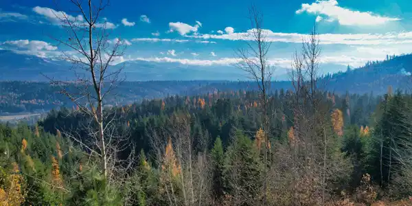NNA Juniper Lane 20 acres