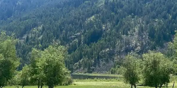 NNA (7800) 20 ac. Blue Lake Rd