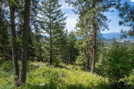 Lot 23 Pintail Dr