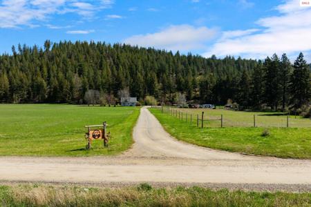 275 Curless Rd