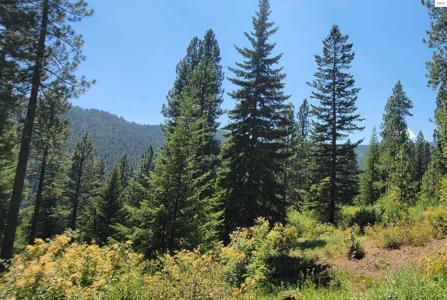 NNA Snowcat Lane Tract 4