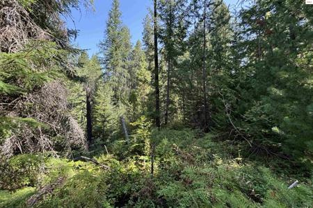 NNA Ridge Way