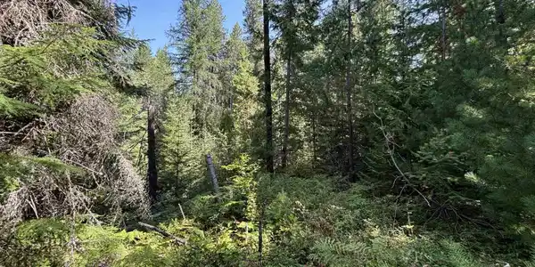 NNA Ridge Way