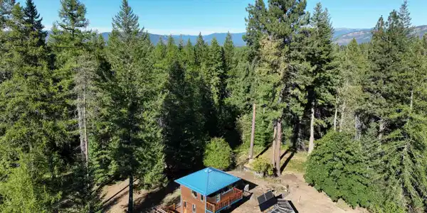 Image 2: Surrounded by majestic and mature trees