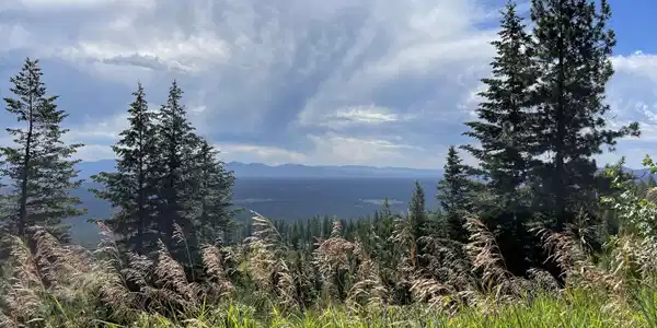 NNA GLAD LANE (140 Acres)