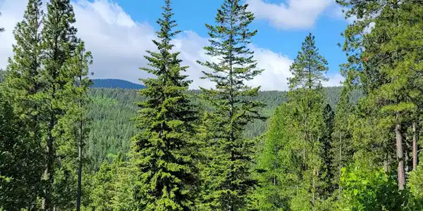 NNA Snowcat Lane Tract 2
