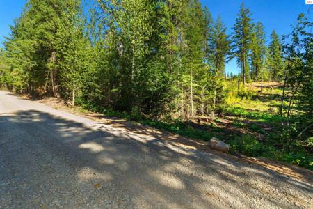 NKA Stone Rd Lot 2 (20 Acres)