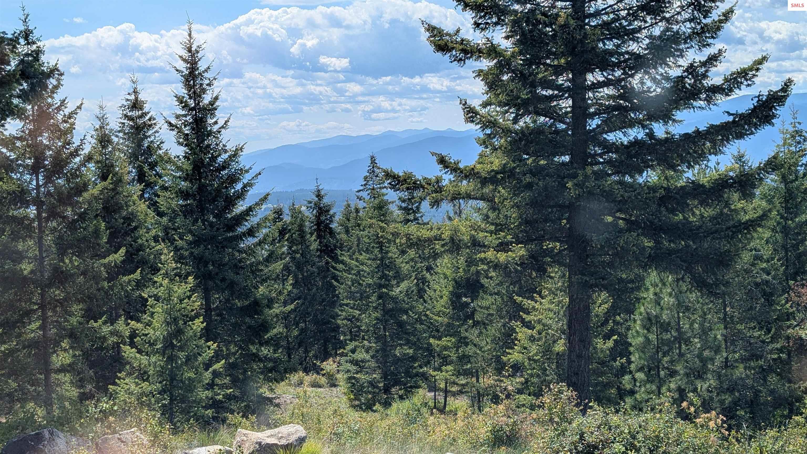 Image 4: With some tree removal you could see all the way to town!