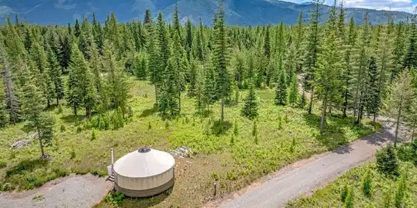 317 Treetop Bluff Ln