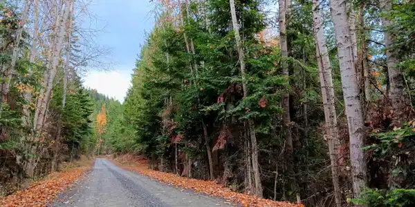 NNA GREEN BAY ROAD - LOT 1B