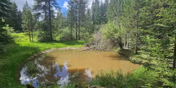 NKA Little Carpenter Creek Rd
