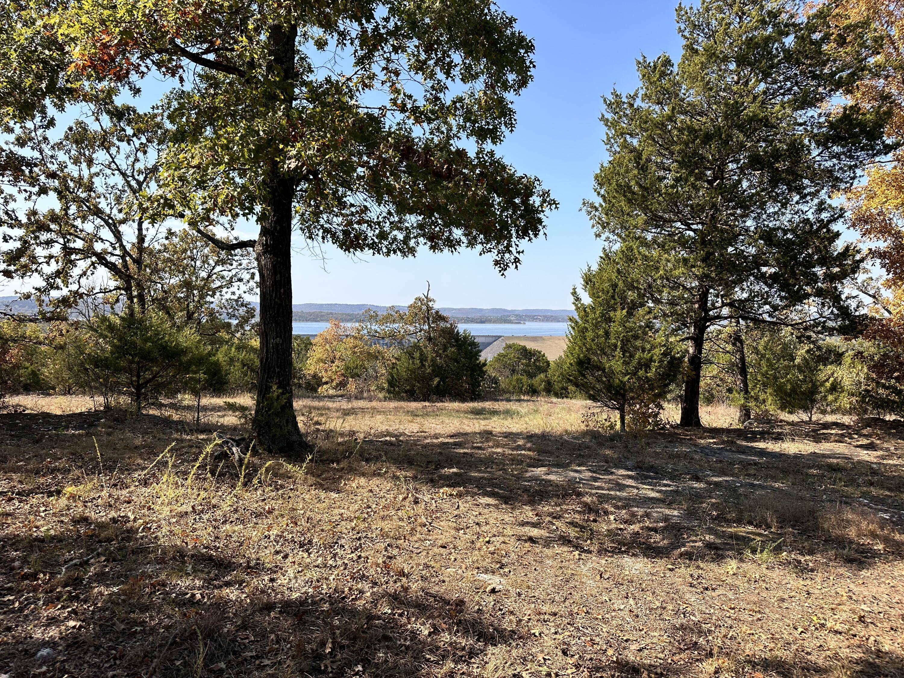 Image 4 Image 4