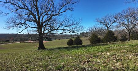 Lot #2 Lone Star Drive