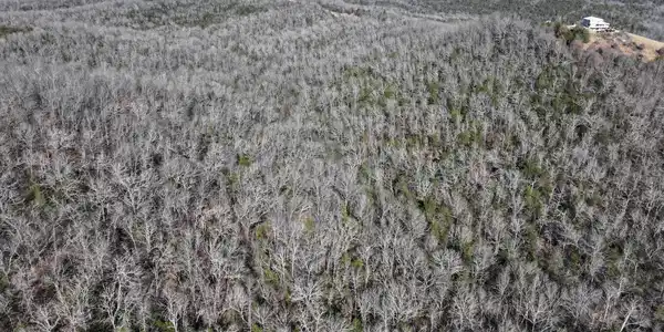 Image 4 Image 4