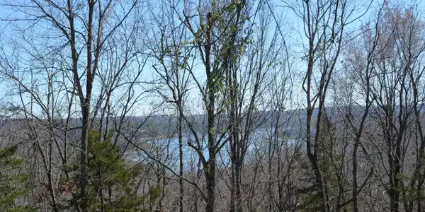 Image 2 Image 2