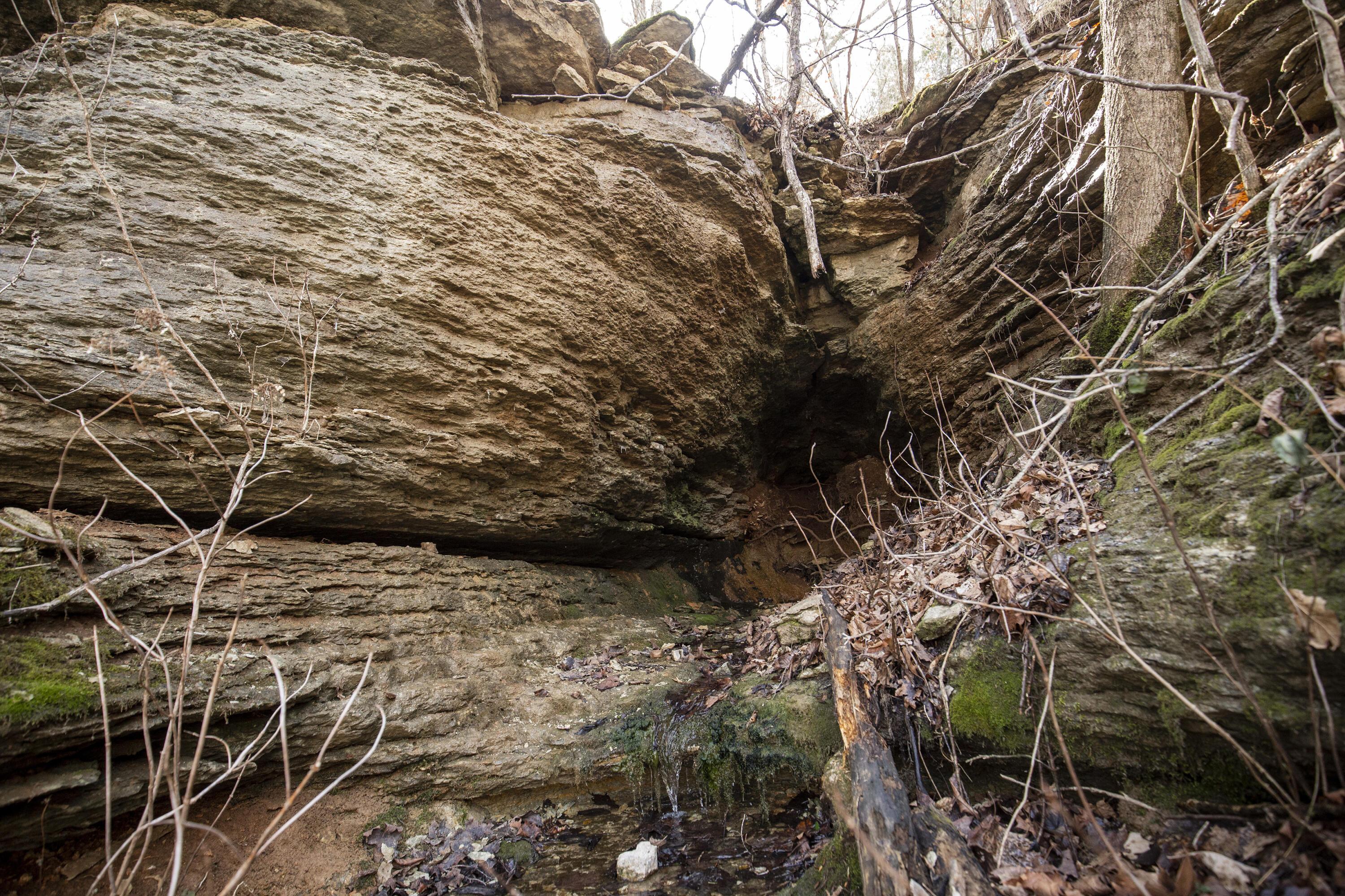 Image 4 Image 4