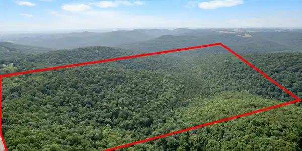 Image 4 Image 4