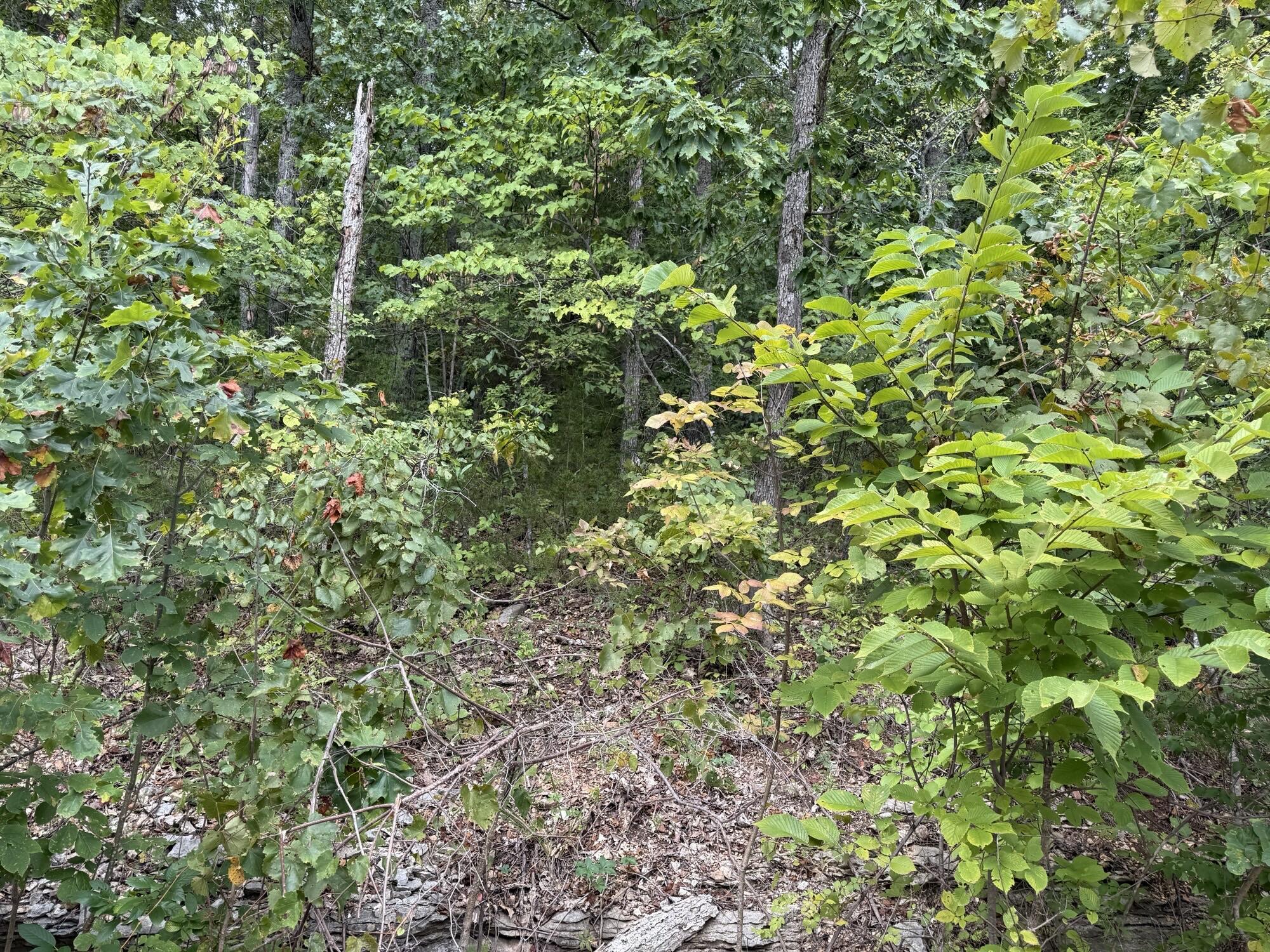 Image 3 Image 3