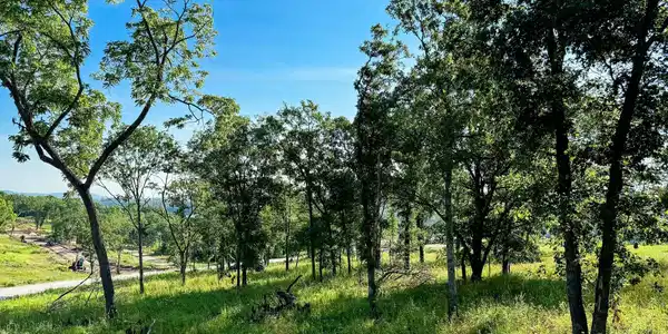 Image 4 Image 4