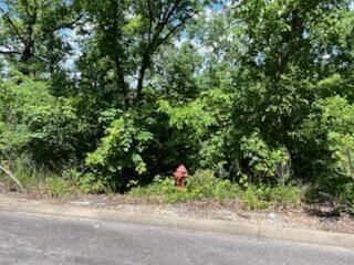 Lot 132a Skylee Drive